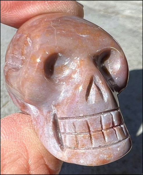 Blue Star Traders-Ethically sourced and carved Synergy Crystal Skulls –  Blue Star Traders-Ethically Sourced & Carved Synergy Crystal Skulls & More!