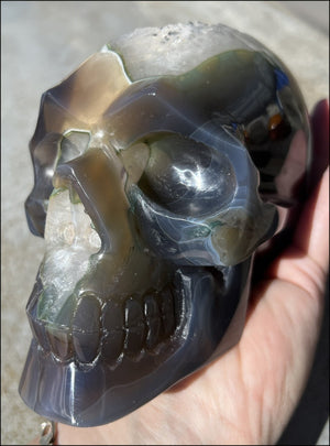 Baby Life-Size Agate GEODE Crystal Skull with BIG Druzy-lined VUG!