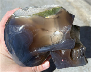 Baby Life-Size Agate GEODE Crystal Skull with BIG Druzy-lined VUG!