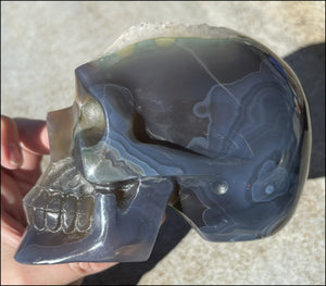 Baby Life-Size Agate GEODE Crystal Skull with BIG Druzy-lined VUG!