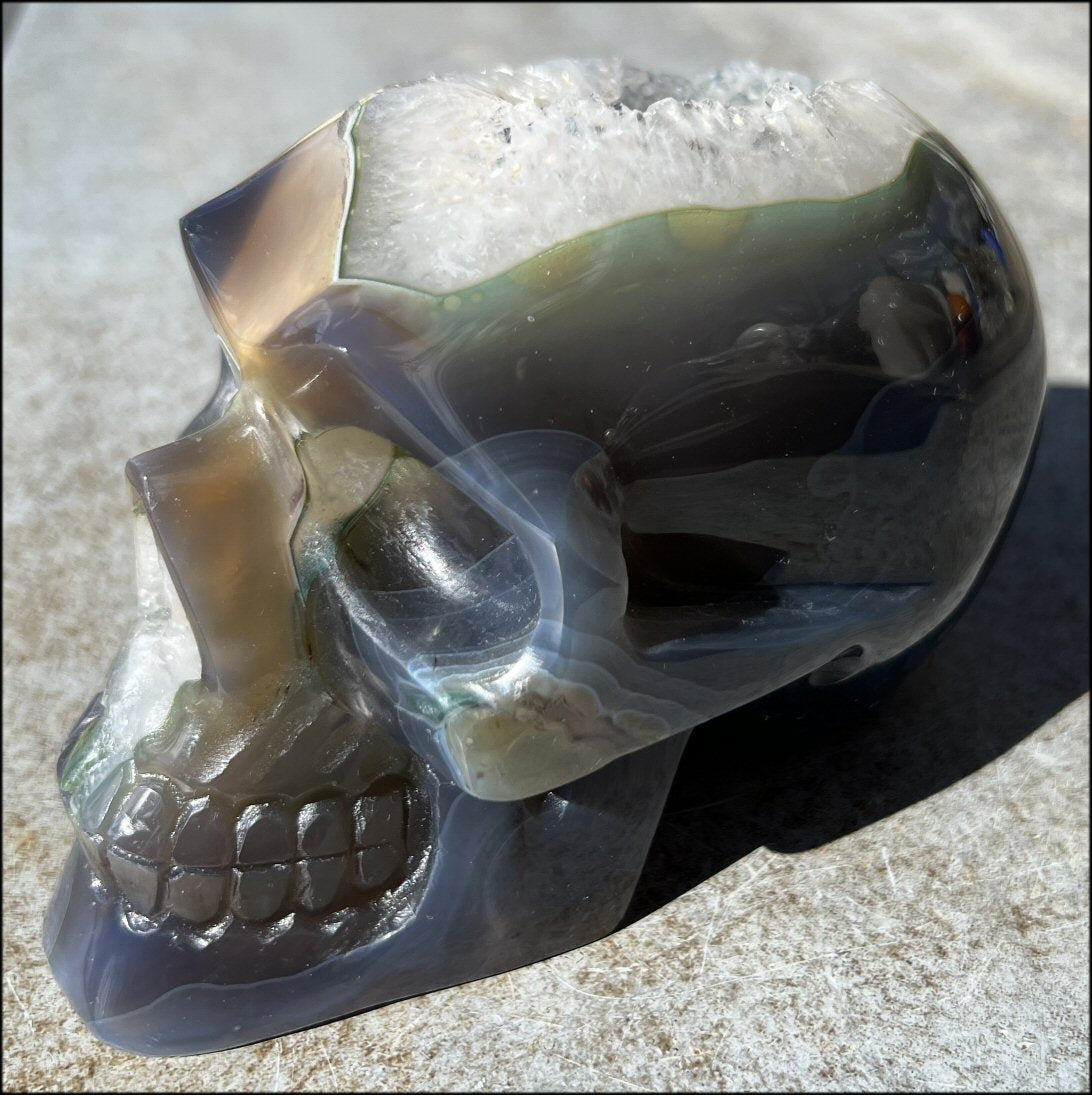 Baby Life-Size Agate GEODE Crystal Skull with BIG Druzy-lined VUG!