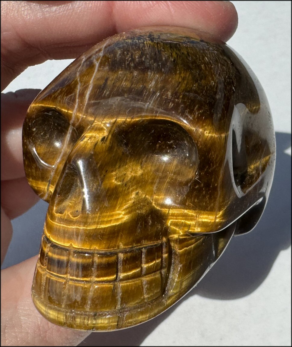 Golden Tiger Eye CRYSTAL SKULL with Hematite inclusions - with Synergy 15+ years