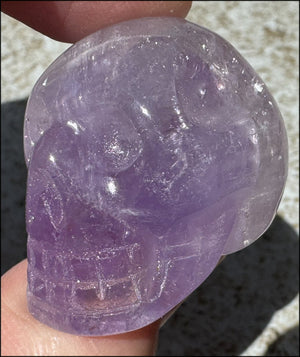 Small AMETHYST Crystal Skull with Rainbows - Divination - with Synergy 8+ yrs