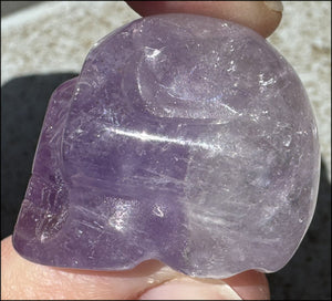 Small AMETHYST Crystal Skull with Rainbows - Divination - with Synergy 8+ yrs