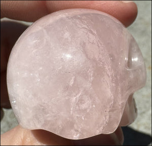 ROSE QUARTZ Crystal Skull - Heart Chakra, Self-Acceptance - with Synergy 8+ years