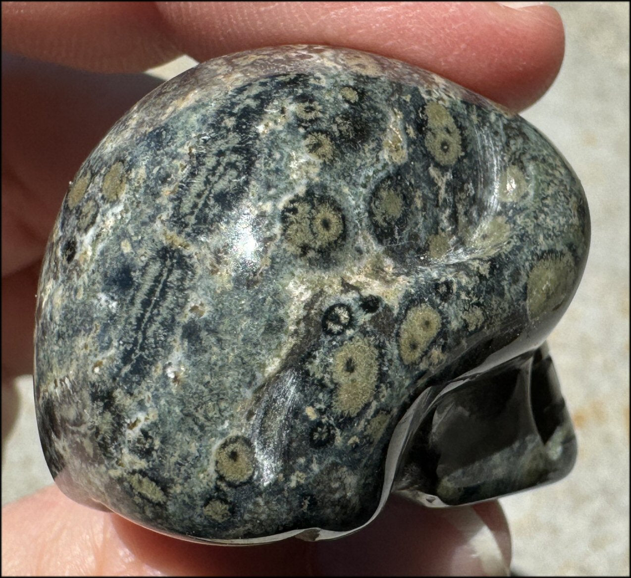 KAMBABA JASPER Crystal Skull - Heart Chakra, Grounding - with Synergy 7+ years