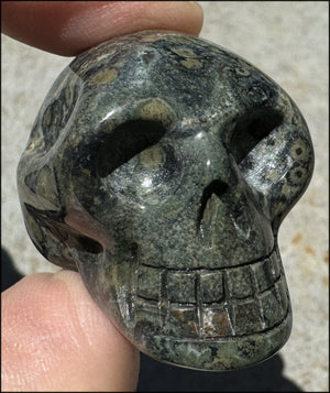 KAMBABA JASPER Crystal Skull - Heart Chakra, Grounding - with Synergy 7+ years