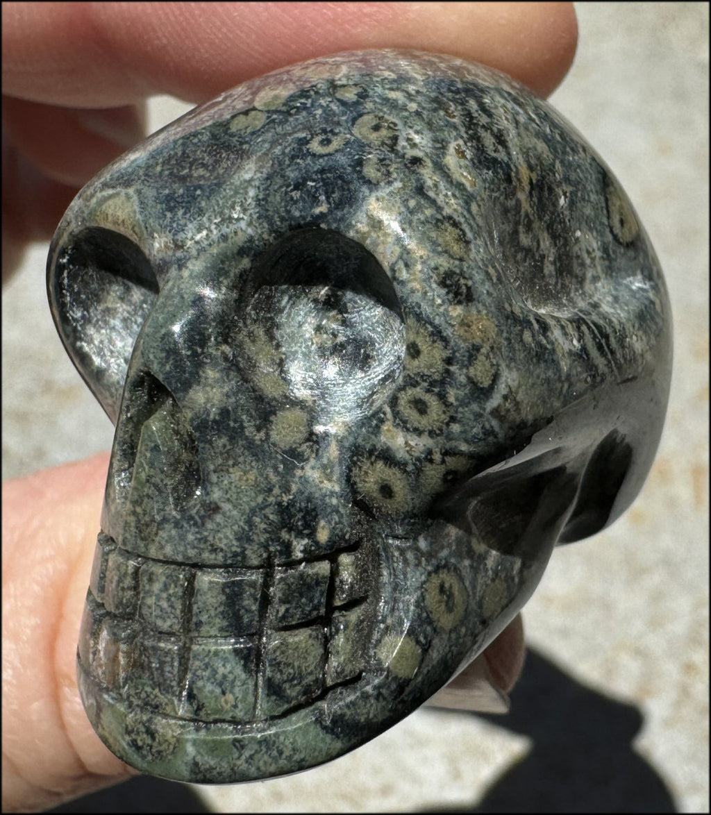 KAMBABA JASPER Crystal Skull - Heart Chakra, Grounding - with Synergy 7+ years