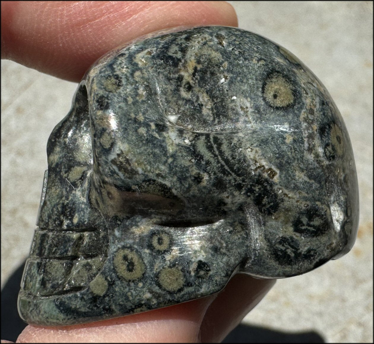 KAMBABA JASPER Crystal Skull - Heart Chakra, Grounding - with Synergy 7+ years