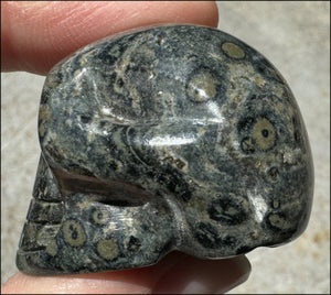 KAMBABA JASPER Crystal Skull - Heart Chakra, Grounding - with Synergy 7+ years