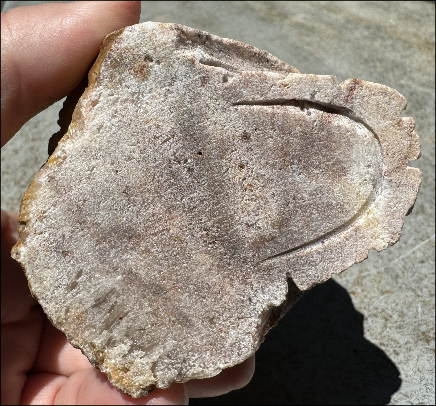 Fantastic XL Sparkly Hematoid Quartz + Limestone METAMORPHOSIS Crystal Skull