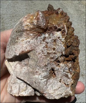 Fantastic XL Sparkly Hematoid Quartz + Limestone METAMORPHOSIS Crystal Skull