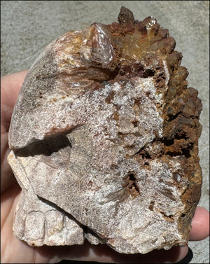 Fantastic XL Sparkly Hematoid Quartz + Limestone METAMORPHOSIS Crystal Skull