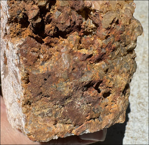 Fantastic XL Sparkly Hematoid Quartz + Limestone METAMORPHOSIS Crystal Skull