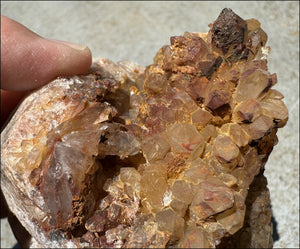 Fantastic XL Sparkly Hematoid Quartz + Limestone METAMORPHOSIS Crystal Skull