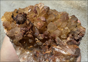 Fantastic XL Sparkly Hematoid Quartz + Limestone METAMORPHOSIS Crystal Skull