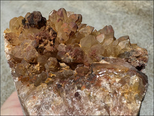 Fantastic XL Sparkly Hematoid Quartz + Limestone METAMORPHOSIS Crystal Skull