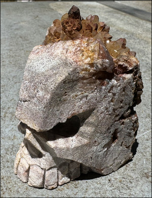 Fantastic XL Sparkly Hematoid Quartz + Limestone METAMORPHOSIS Crystal Skull