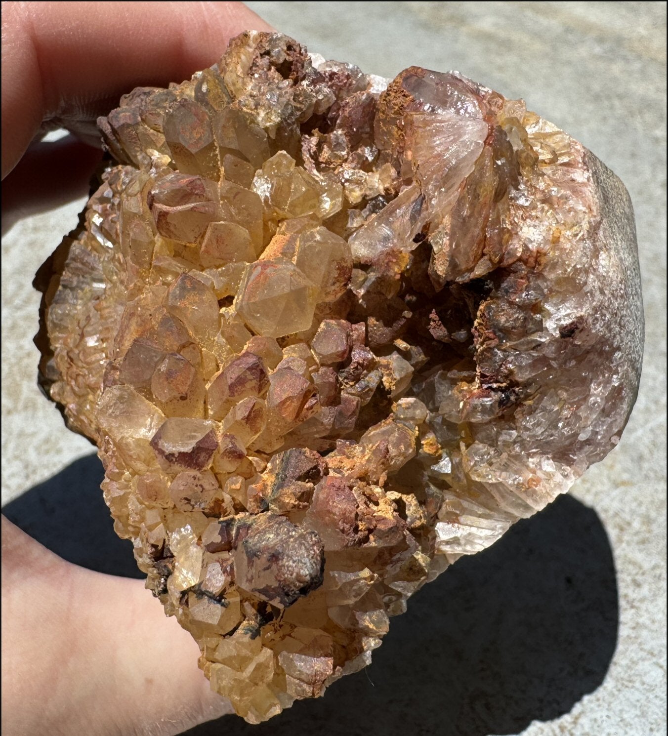 Fantastic XL Sparkly Hematoid Quartz + Limestone METAMORPHOSIS Crystal Skull