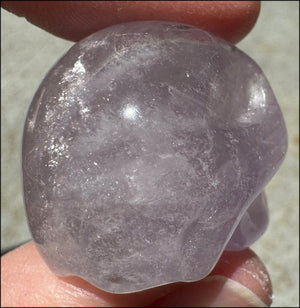 Small AMETHYST Crystal Skull with Rainbows - Divination - with Synergy 8+ years