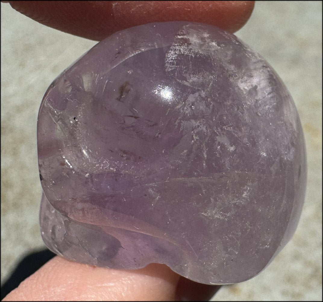 Small AMETHYST Crystal Skull with Rainbows - Divination - with Synergy 8+ years