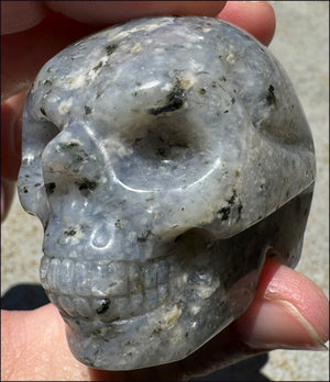 Dumortierite CRYSTAL SKULL - Balance Throat Chakra, Enhance communication