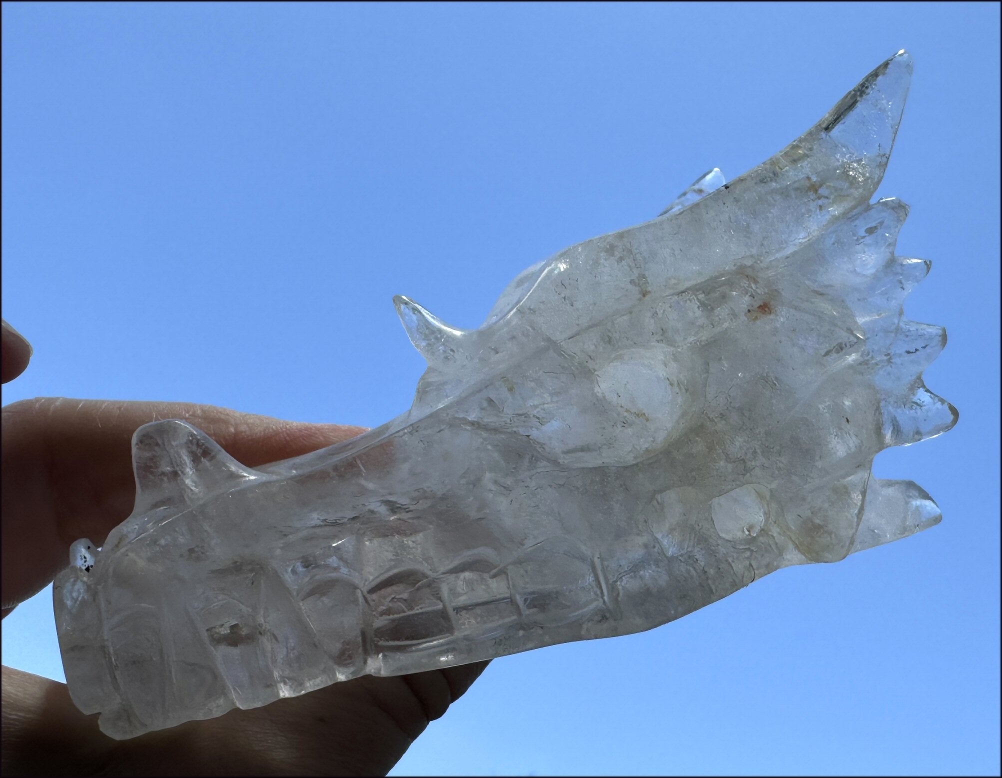 XL Quartz DRAGON Crystal Skull with Hematite, Lovely Rainbows