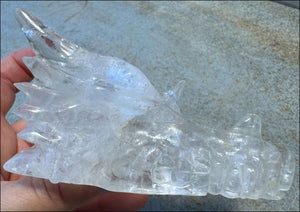 XL Quartz DRAGON Crystal Skull with Hematite, Lovely Rainbows