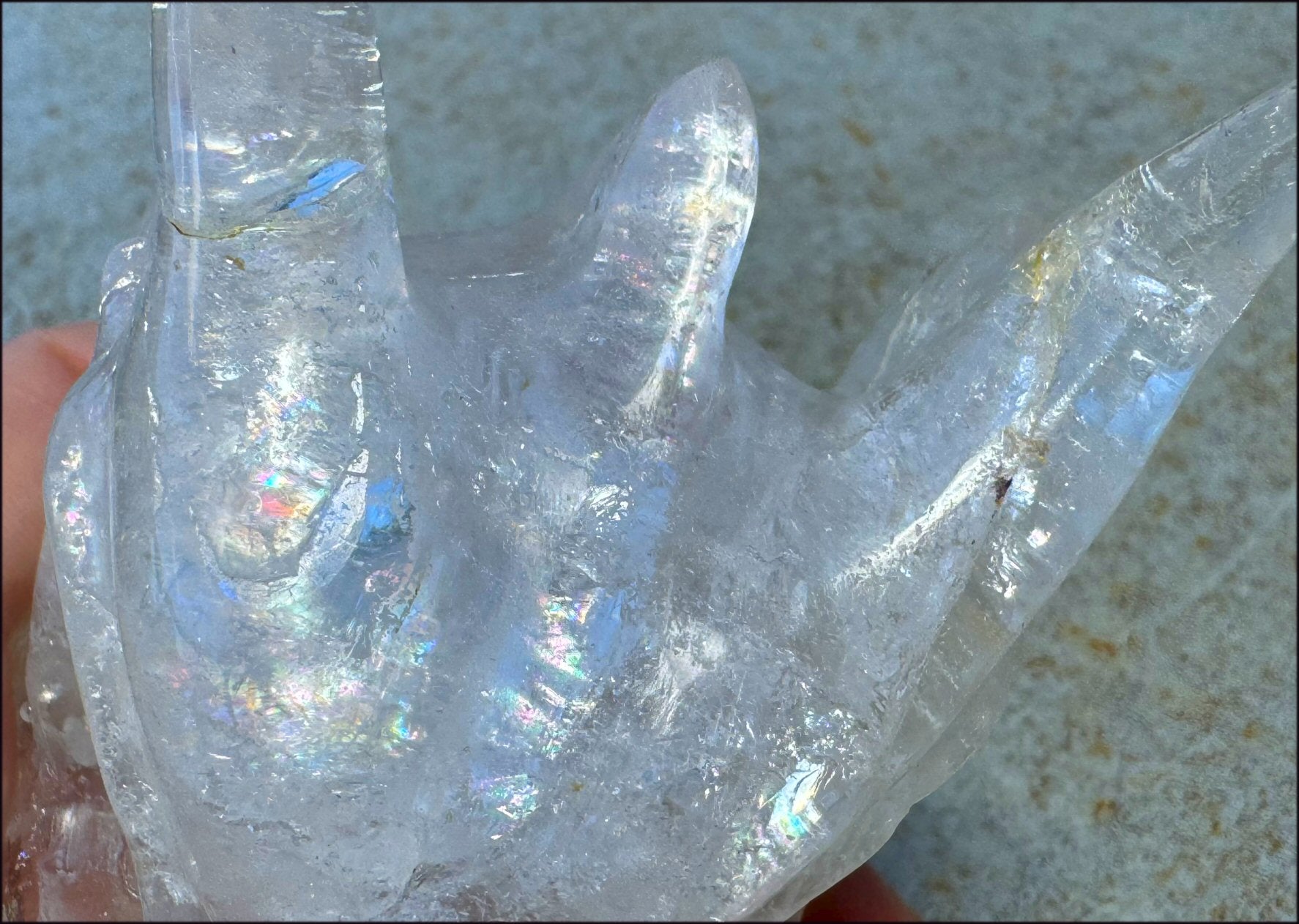 XL Quartz DRAGON Crystal Skull with Hematite, Lovely Rainbows