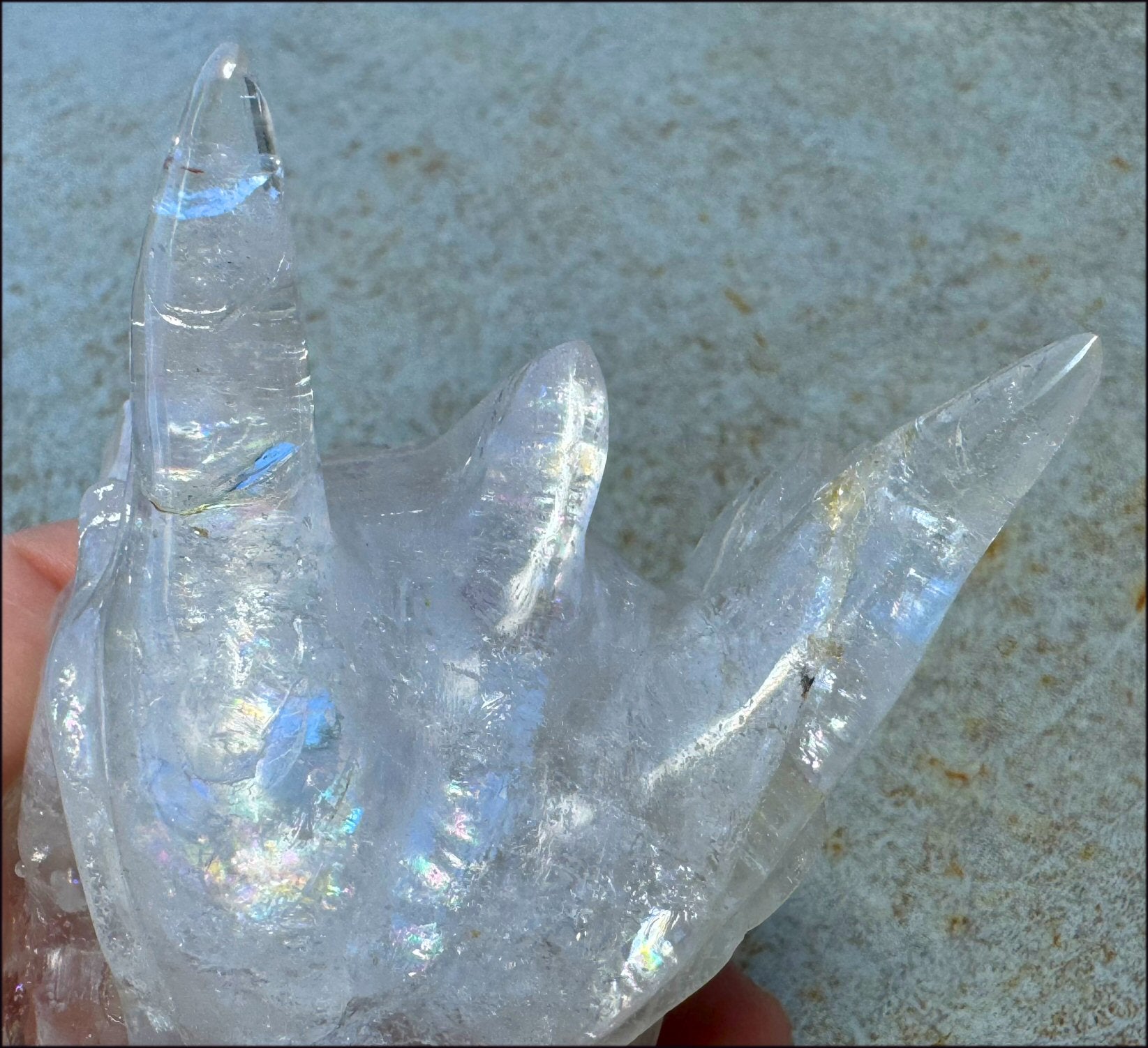 XL Quartz DRAGON Crystal Skull with Hematite, Lovely Rainbows