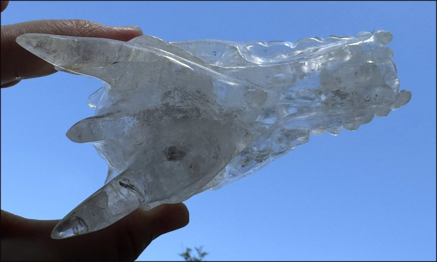 XL Quartz DRAGON Crystal Skull with Hematite, Lovely Rainbows