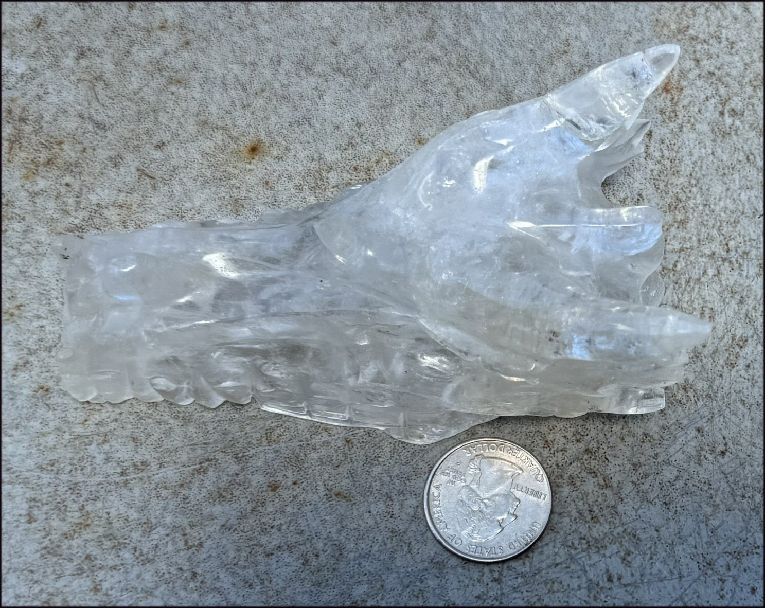 XL Quartz DRAGON Crystal Skull with Hematite, Lovely Rainbows