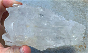 XL Quartz DRAGON Crystal Skull with Hematite, Lovely Rainbows