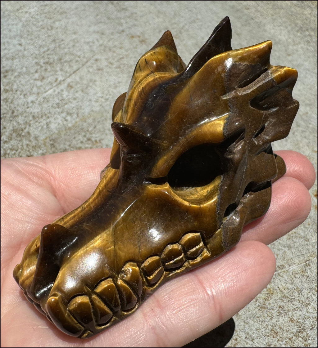 Golden Tiger Eye DRAGON Crystal Skull - Prosperity, Let go of judgments