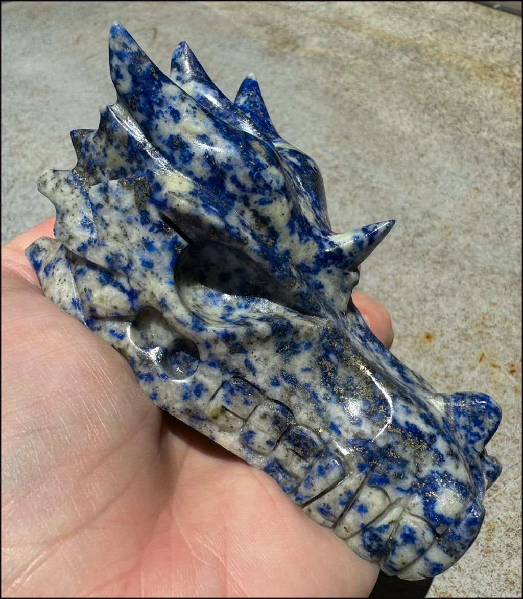 XL Lapis Lazuli DRAGON Crystal Skull with Sparkly PYRITE - 3/4lb