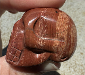 Red Spiral Jasper CRYSTAL SKULL - Focus + Clarity - with Synergy 4+ years