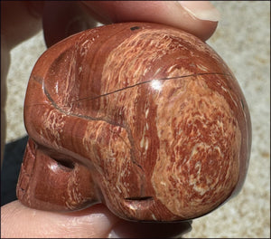 Red Spiral Jasper CRYSTAL SKULL - Focus + Clarity - with Synergy 4+ years