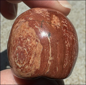 Red Spiral Jasper CRYSTAL SKULL - Focus + Clarity - with Synergy 4+ years