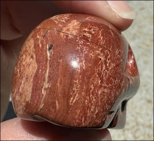 Red Spiral Jasper CRYSTAL SKULL - Focus + Clarity - with Synergy 4+ years