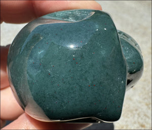 Bloodstone CRYSTAL SKULL - Emotional cleansing, Courage - with Synergy 9+ yrs