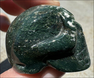 Moss Agate CRYSTAL SKULL - Abundance, Stone of Gardeners - with Synergy 9+ yrs