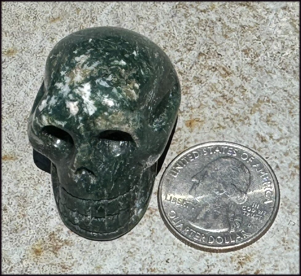 Moss Agate CRYSTAL SKULL - Abundance, Stone of Gardeners - with Synergy 9+ yrs