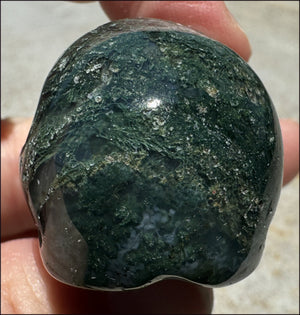 Moss Agate CRYSTAL SKULL - Abundance, Stone of Gardeners - with Synergy 9+ yrs