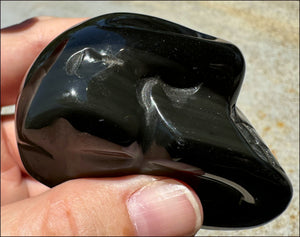 Rainbow OBSIDIAN Crystal Skull - Love and light, Clarity - with Synergy 12+ years