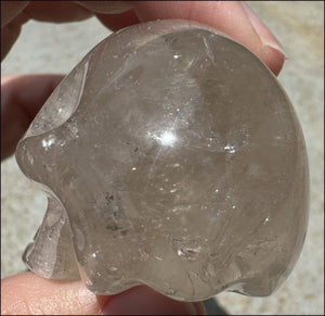 Smoky Quartz Crystal Skull with Shimmery Rainbows - with Synergy 15+ years