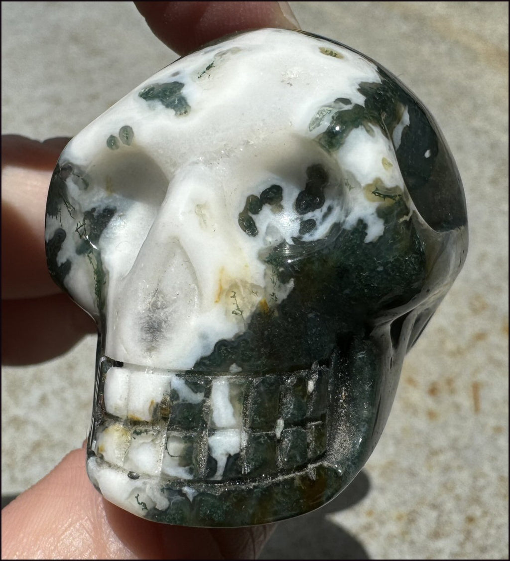 Moss Agate CRYSTAL SKULL - Abundance, Stone of Gardeners, Heart Chakra