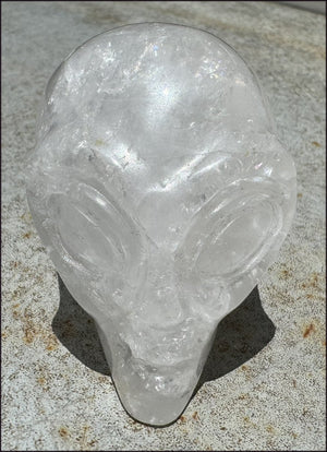 Lg. Himalayan Quartz STAR BEING Crystal Skull with Hematite, Rainbows