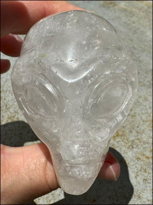 Lg. Himalayan Quartz STAR BEING Crystal Skull with Hematite, Rainbows