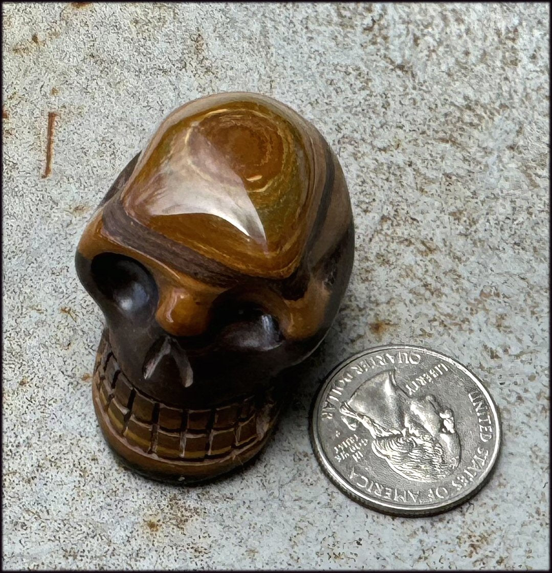 Australian TIGER IRON Crystal Skull - Balance, Creativity - with Synergy 9+ yrs