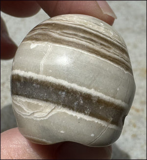 Banded Aragonite CRYSTAL SKULL - Grounding, Decrease stress - with Synergy 7+ years